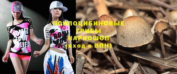 герыч Няндома