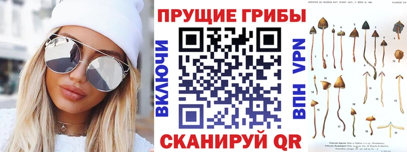 Псилоцибиновые грибы прущие грибы  ОМГ ОМГ   Харовск 