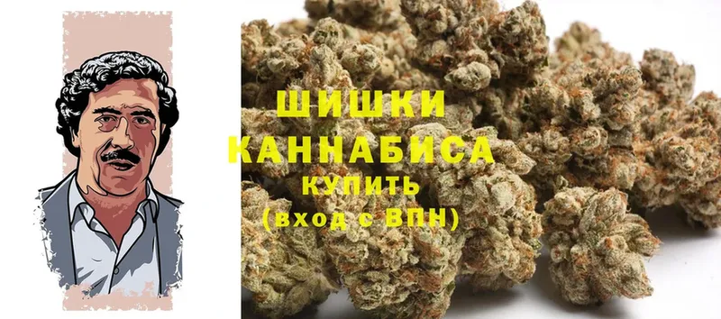 Конопля Amnesia  магазин    Харовск 